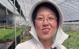 矮牵牛的繁殖与注意事项（了解矮牵牛的繁殖时间和技巧，让你的花园更美丽）