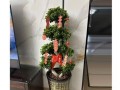 摇钱树的正确浇水方法（掌握浇水技巧，让你的摇钱树茁壮成长）