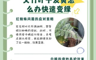 树叶又多又黄的原因及解决方法（揭秘多黄叶树木背后的隐情，了解保护植物健康的正确方式）