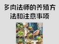 法师的叶子肥大之道（打造肥美叶子的秘密武器）
