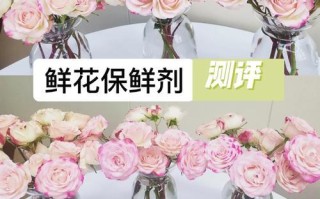 鲜切花养护指南（打造持久鲜艳的花束，让美丽绽放不止）