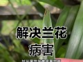 金茶花炭疽病的防治措施（保护金茶花免受炭疽病侵袭的关键措施）