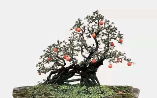 金弹子栽种方法和注意事项（打造丰收的金弹子农田）