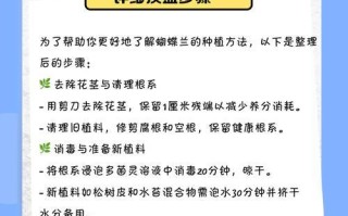 蝴蝶兰开花后的盆栽技巧（蝴蝶兰盆栽换盆技巧及注意事项）