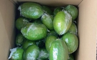 柠檬能保存多久？（探究柠檬的保鲜期限与储存方法）