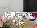 如何给所有花儿施肥（有效施肥方法和技巧，提升花卉的生长）