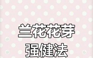 兰花的养护技巧（让你的兰花长势旺盛的关键）