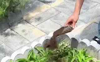 土壤过肥的应对策略（保护土地生态，合理调控养分）