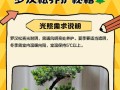 解决罗汉松生虫问题的方法（探索有效防治罗汉松生虫的策略与技巧）