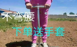大葱移栽必备的时间和方法（如何确保健康的大葱生长？）