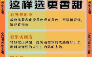 菠萝与凤梨的表皮差异及其区分方法（以外观、纹理、颜色等特征对菠萝和凤梨表皮进行区分）