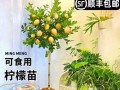 四季花开（探秘四季开花的植物花卉世界，与你分享365天不间断的花园之美。）
