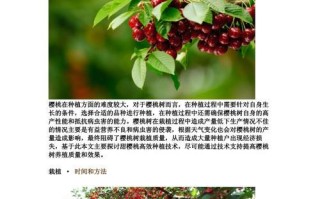 家里种植樱桃的乐趣与技巧（用心耕种，品味红色诱惑）