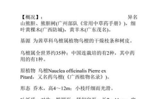 胆草的传说与功效（探秘“草中之王”的神奇世界）