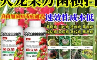 火龙果病毒病的症状和防治方法（了解火龙果病毒病的危害和预防方法）