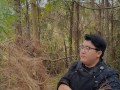 松树皮与月季专用土的配搭方法（优化月季生长环境，松树皮成为理想选择）