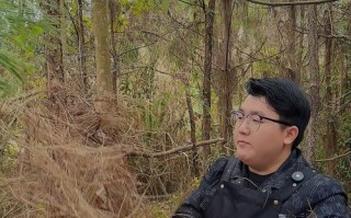 松树皮与月季专用土的配搭方法（优化月季生长环境，松树皮成为理想选择）