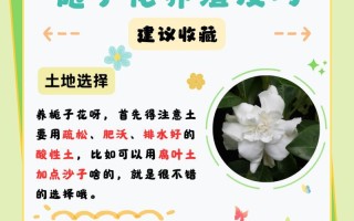 栀子花一半开不开机怎么办？（教你解决栀子花开机问题的方法）