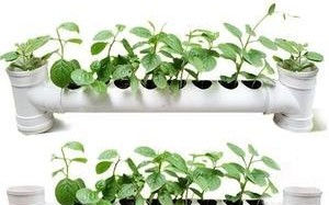 在阳台管道上挂花的技巧与方法（打造美丽花园，让阳台生机焕发）