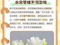 栀子花为何冬天不长花苞（揭开栀子花冬天不开花的原因及解决办法）