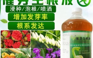 白芨如何施肥？（选择最适合的肥料提高收成）