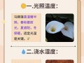 以子持莲花的养殖方法大全（掌握养殖技巧，培育美丽莲花）