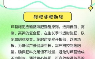 如何选择与配制芦荟花土（芦荟花土的重要性及正确使用方法）