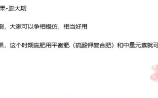 蓝莓种植时间与生长周期详解（从选址到收成，一步步教你如何种植蓝莓）