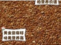 黄金麻的故乡——云南省（探寻黄金麻产业发展的历史与现状）