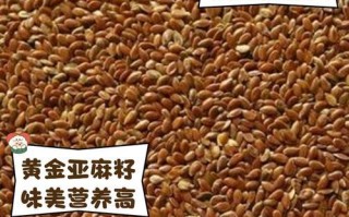黄金麻的故乡——云南省（探寻黄金麻产业发展的历史与现状）