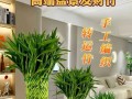 家里室内养竹子，好不好？——让竹子点缀你的家居生活