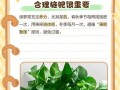 绿萝叶发黄的原因及应对方法（保持绿萝健康的关键是什么？）