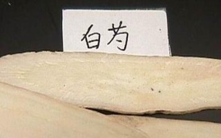 甘草的热凉属性争议（解析甘草的性质特点及功效与应用）