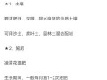 如何正确地进行凌霄花扦插繁殖（注意事项和步骤详解）