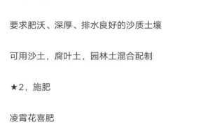 如何正确地进行凌霄花扦插繁殖（注意事项和步骤详解）