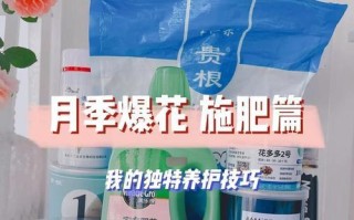 十一月份月季施肥指南（打造美丽花园的秘诀，十一月份月季施肥攻略）