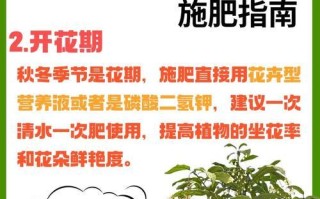 茶叶花施肥技巧——让你的茶叶花茁壮成长（掌握正确的施肥方法，助力茶叶花健康成长）