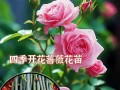 探究花苗的种植过程（从种子到花苗，一步步触摸花的生命奇迹）