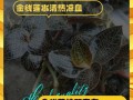 金线莲养护指南（打造美丽庭院的秘密之花——金线莲）