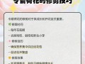 以令箭夏天怎么养（全面指南）