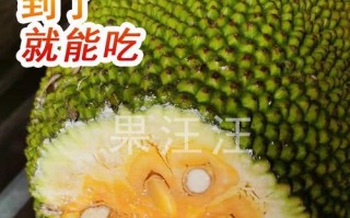 红肉菠萝蜜——热带水果的鲜美佳品（几月份成熟上市？红肉菠萝蜜的产地与营养价值一探究竟）