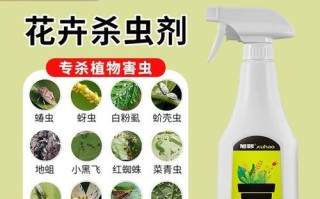 如何有效杀死花上的虫害（花园虫害防治指南）