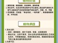 如何培养白掌高大挺拔（掌握关键养殖技巧，让白掌生长壮实）