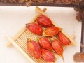栀子之美——探索栀子的魅力与用途（从花瓣到茶叶，栀子在我们生活中的多重身份）