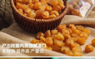 冷冻保存桂圆肉的正确方法（如何保存新鲜的桂圆肉，保持其美味？）