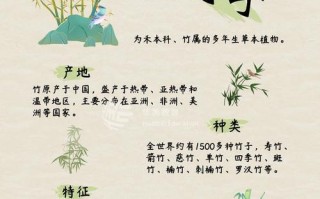 竹子怎么结的种子（探索竹子生殖之谜及其应用价值）