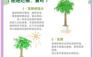 发财树茎软问题处理方法（轻松应对发财树茎软问题，让您的植物茁壮成长）