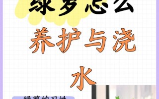绿萝养护指南