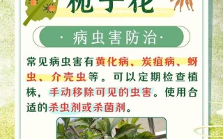 除虫守护花园，以枝枝花里的虫子怎么除？（保护花园生态平衡，有效去除害虫）