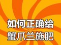 如何科学施肥，延长蟹爪兰的花期（蟹爪兰肥料选择与施肥技巧）